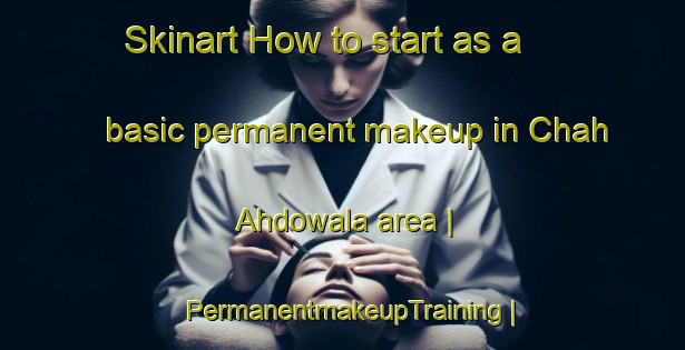Skinart How to start as a basic permanent makeup in Chah Ahdowala area | PermanentmakeupTraining | PermanentmakeupClasses | SkinartTraining-Pakistan